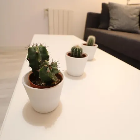 Cool - Parc Migdia - Center Apartment Girona